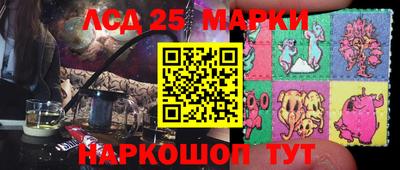 шишки Будённовск