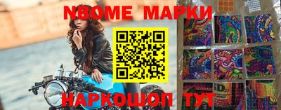 шишки Будённовск