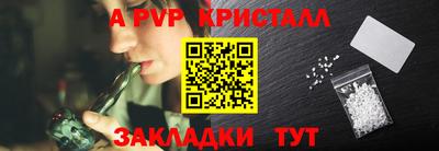 шишки Будённовск