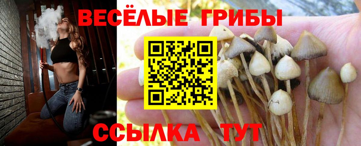 Галлюциногенные грибы мухоморы Орехово-Зуево